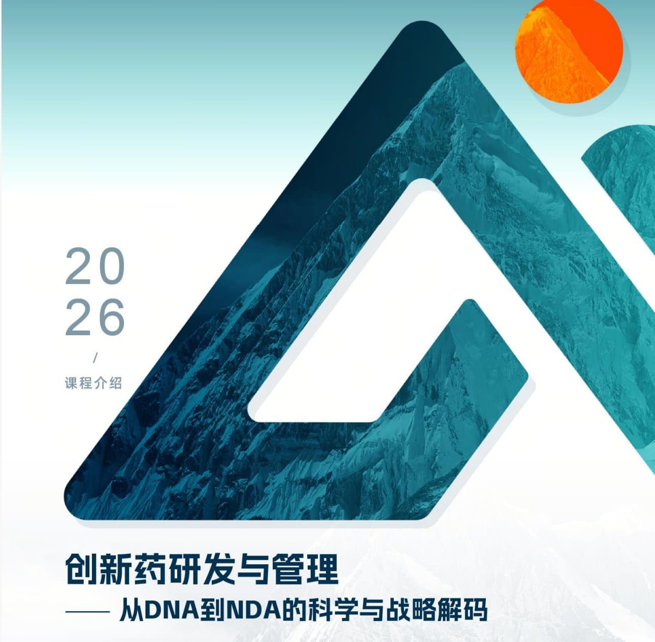 创新药研发与管理